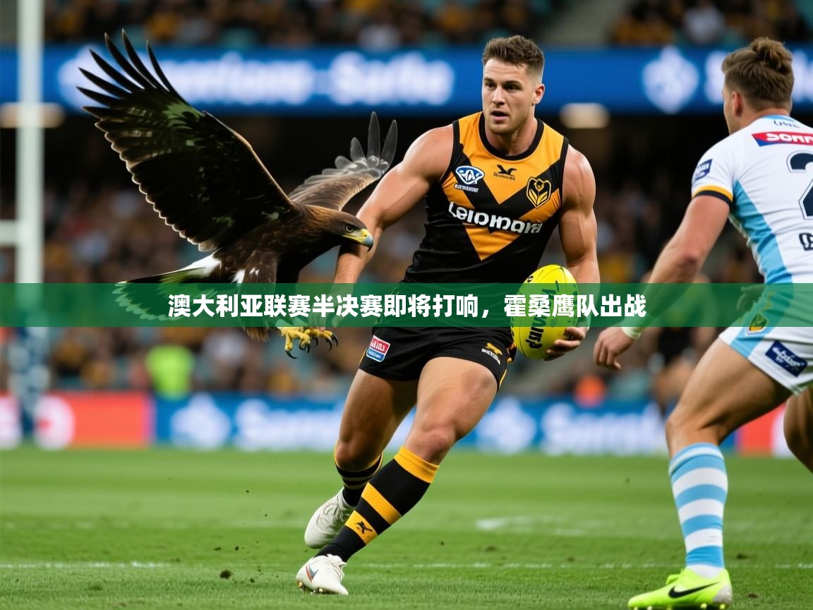 2025九游娱乐app信誉好澳大利亚联赛半决赛即将打响,霍桑鹰队出战 第1张
