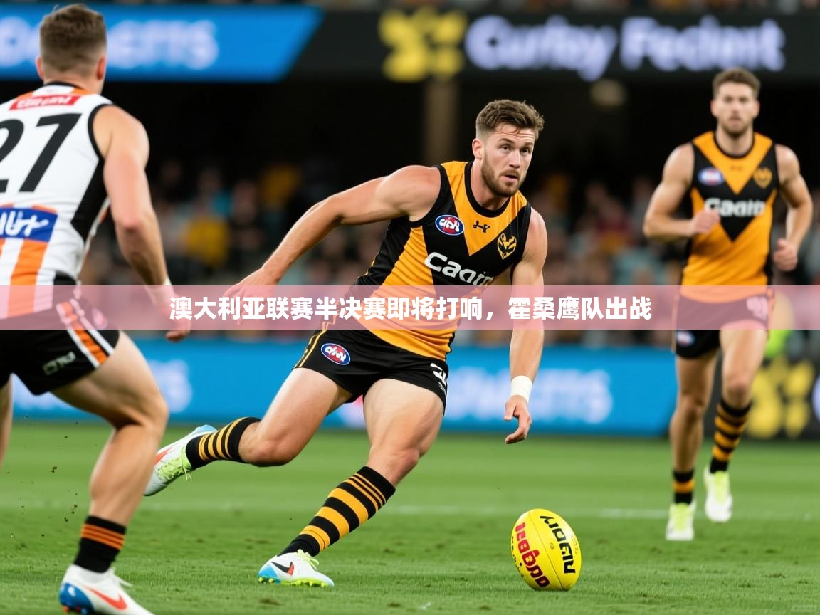 2025九游娱乐app信誉好澳大利亚联赛半决赛即将打响,霍桑鹰队出战 第4张