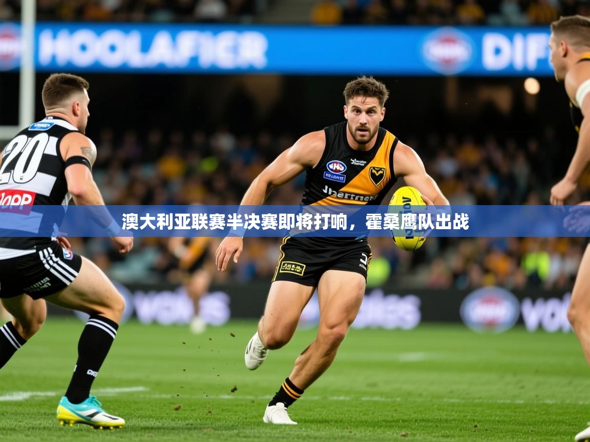 2025九游娱乐app信誉好澳大利亚联赛半决赛即将打响,霍桑鹰队出战 第3张