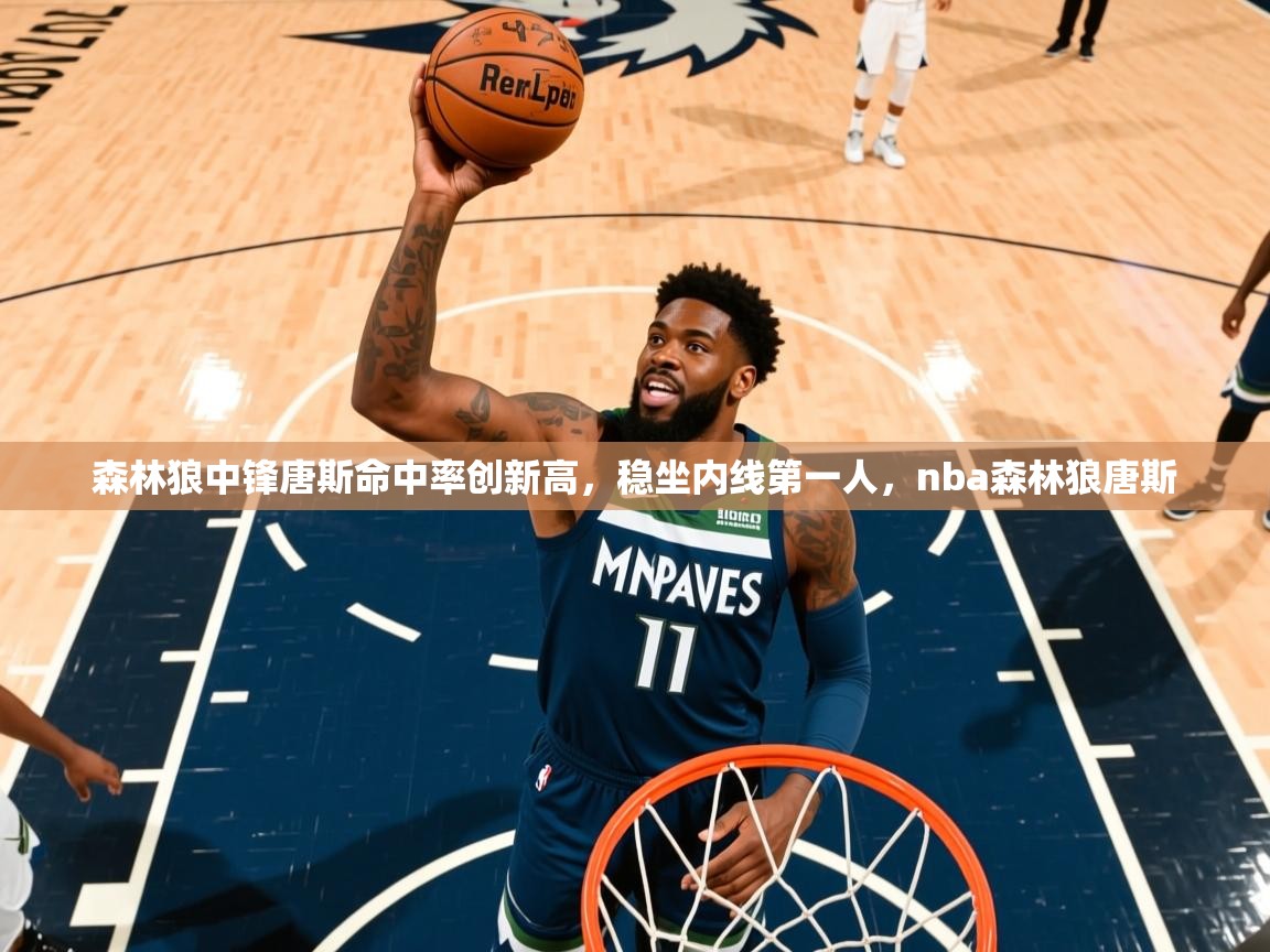 2026九游棋牌娱乐app森林狼中锋唐斯命中率创新高，稳坐内线第一人，nba森林狼唐斯  第3张